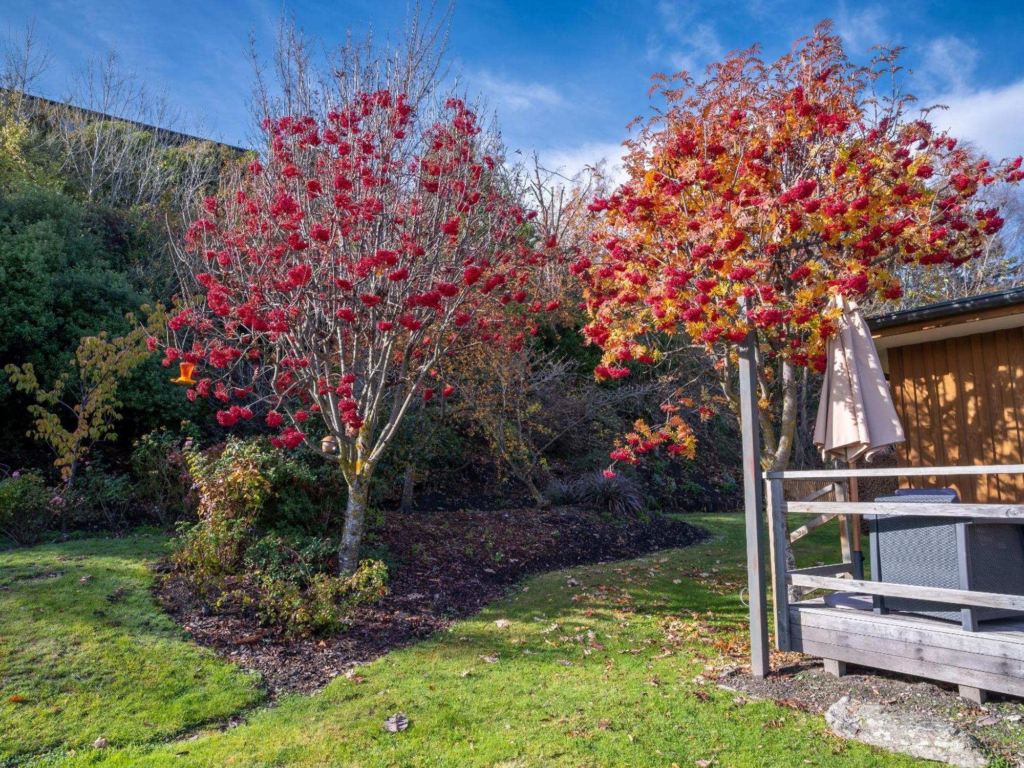 Wanaka Springs Lodge Экстерьер фото